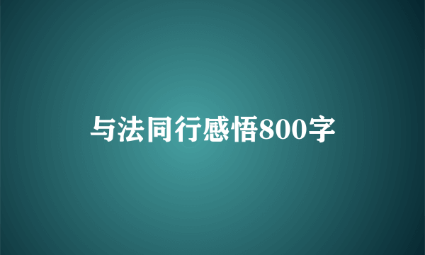 与法同行感悟800字