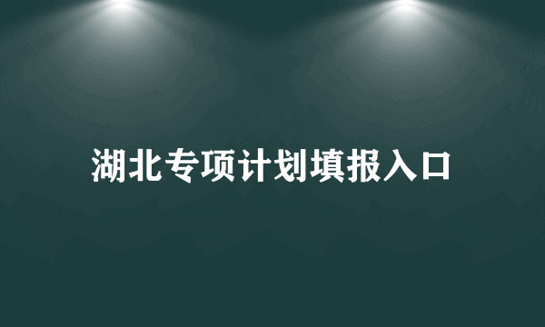 湖北专项计划填报入口