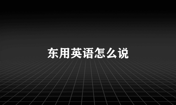 东用英语怎么说