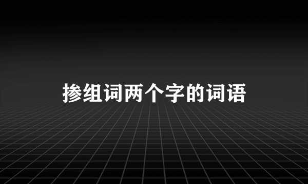 掺组词两个字的词语