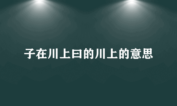 子在川上曰的川上的意思