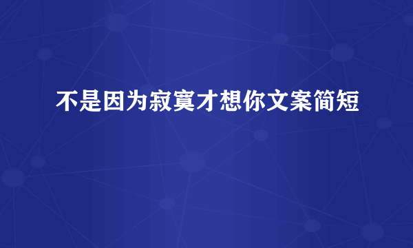 不是因为寂寞才想你文案简短