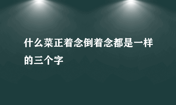 什么菜正着念倒着念都是一样的三个字