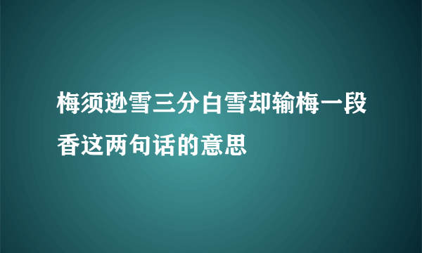 梅须逊雪三分白雪却输梅一段香这两句话的意思