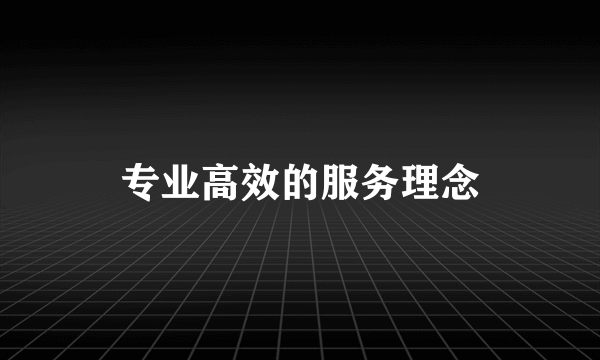专业高效的服务理念