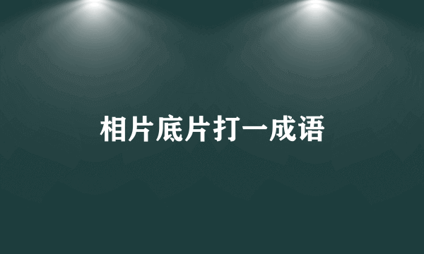 相片底片打一成语