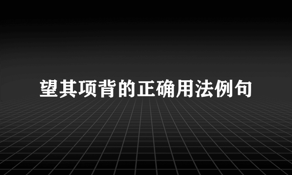 望其项背的正确用法例句