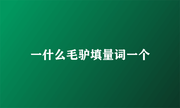 一什么毛驴填量词一个