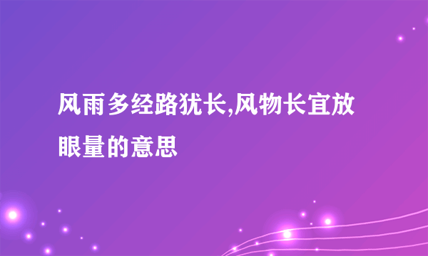 风雨多经路犹长,风物长宜放眼量的意思