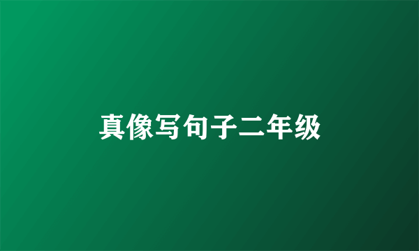 真像写句子二年级