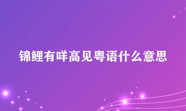 锦鲤有咩高见粤语什么意思