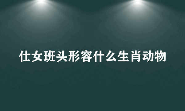 仕女班头形容什么生肖动物