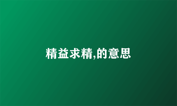 精益求精,的意思