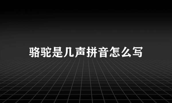 骆驼是几声拼音怎么写
