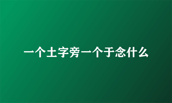 一个土字旁一个于念什么