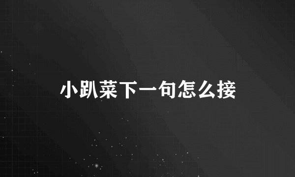 小趴菜下一句怎么接