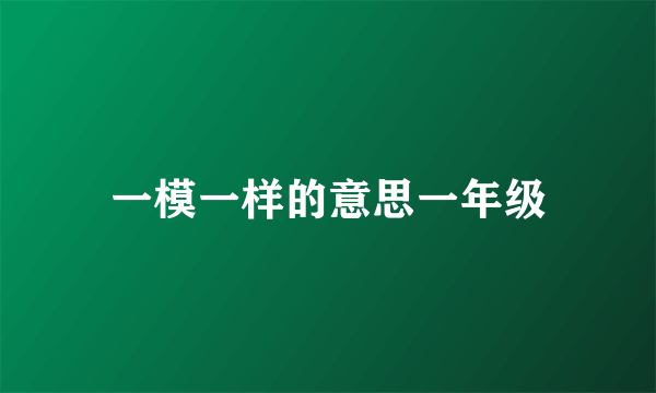 一模一样的意思一年级