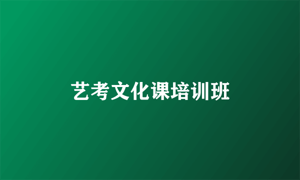 艺考文化课培训班