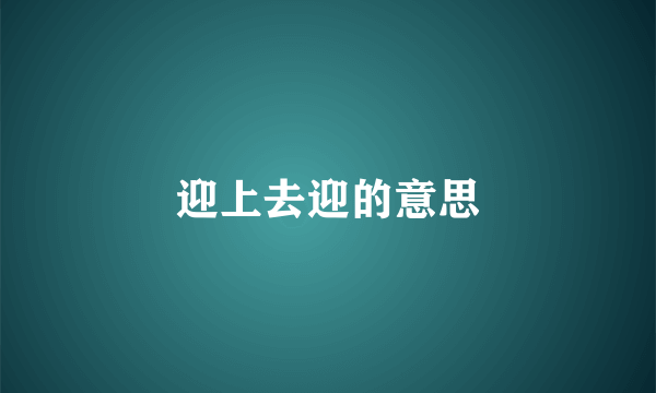 迎上去迎的意思