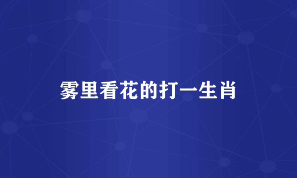 雾里看花的打一生肖