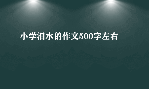 小学泪水的作文500字左右