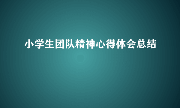 小学生团队精神心得体会总结