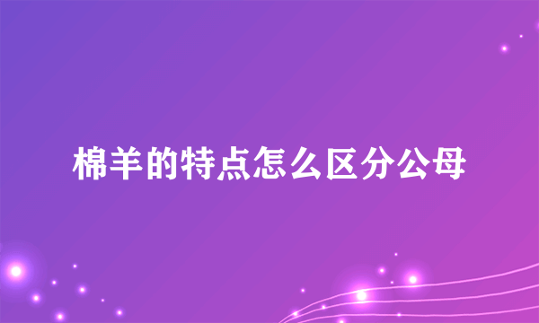 棉羊的特点怎么区分公母