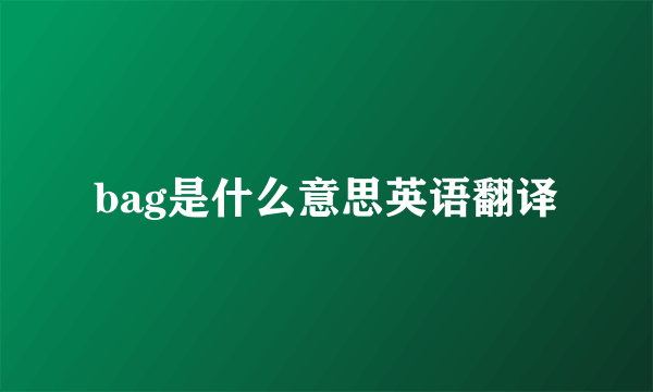 bag是什么意思英语翻译