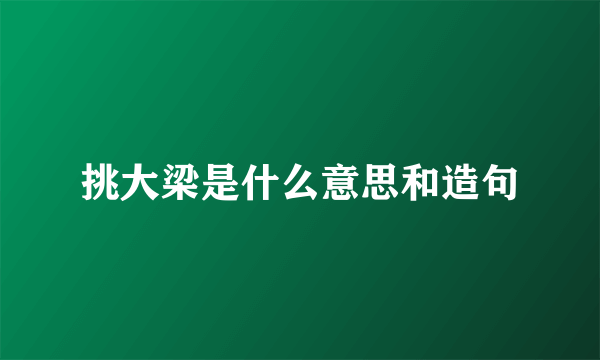 挑大梁是什么意思和造句