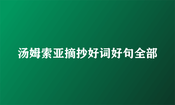 汤姆索亚摘抄好词好句全部