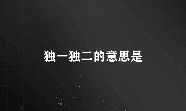 独一独二的意思是