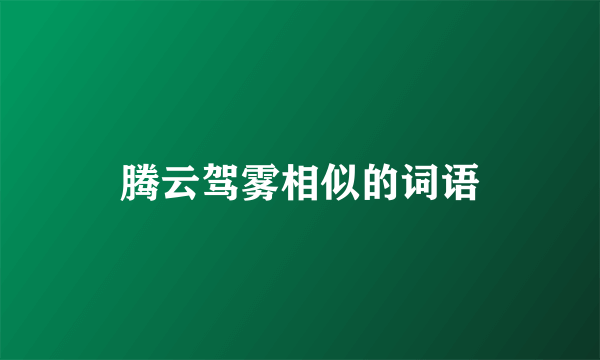 腾云驾雾相似的词语