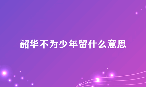 韶华不为少年留什么意思