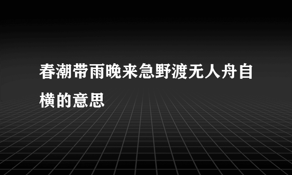 春潮带雨晚来急野渡无人舟自横的意思