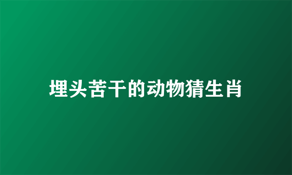埋头苦干的动物猜生肖