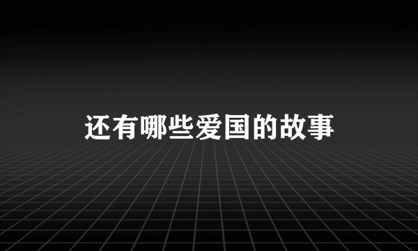 还有哪些爱国的故事