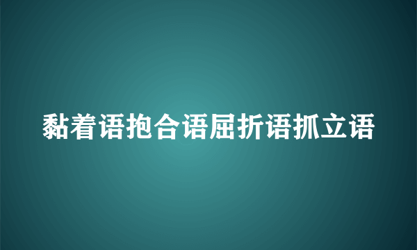 黏着语抱合语屈折语抓立语