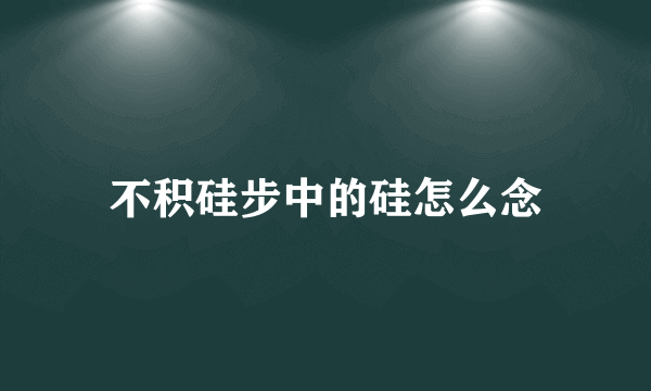 不积硅步中的硅怎么念