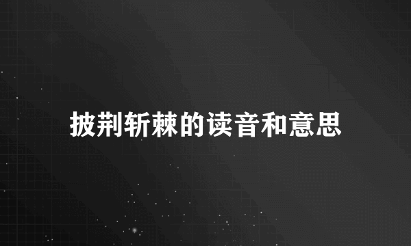 披荆斩棘的读音和意思