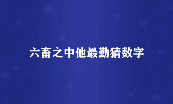 六畜之中他最勤猜数字