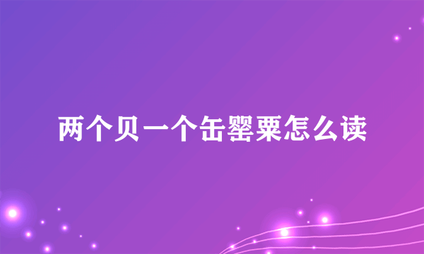 两个贝一个缶罂粟怎么读