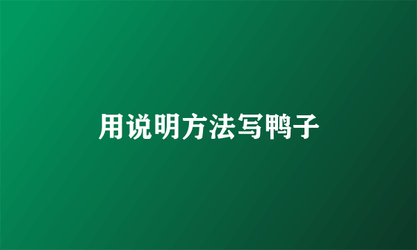 用说明方法写鸭子