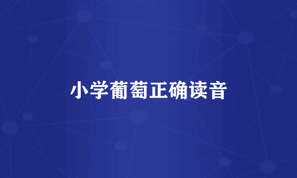 小学葡萄正确读音