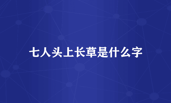 七人头上长草是什么字