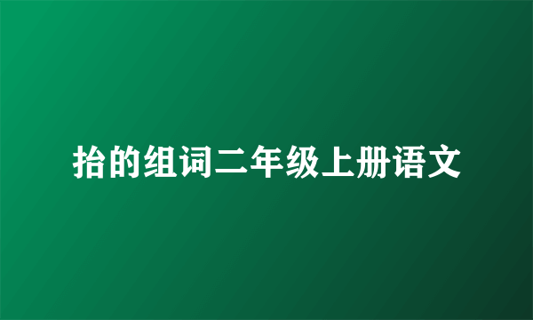 抬的组词二年级上册语文