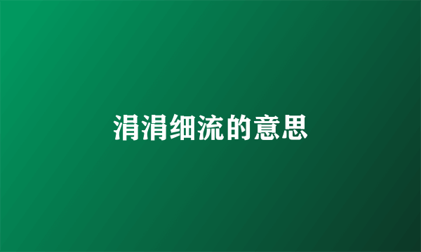 涓涓细流的意思