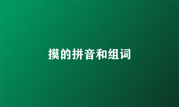 摸的拼音和组词