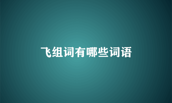 飞组词有哪些词语