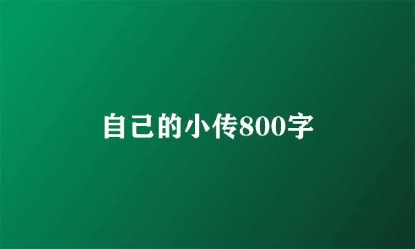 自己的小传800字