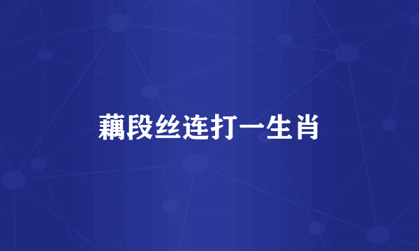 藕段丝连打一生肖